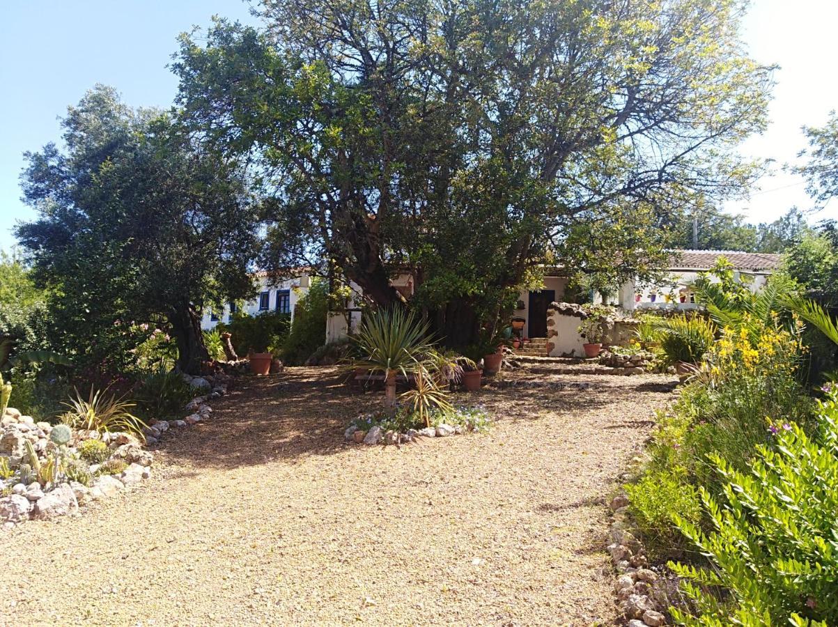 Bed and Breakfast Quinta Dos Valados Querenca Exteriér fotografie